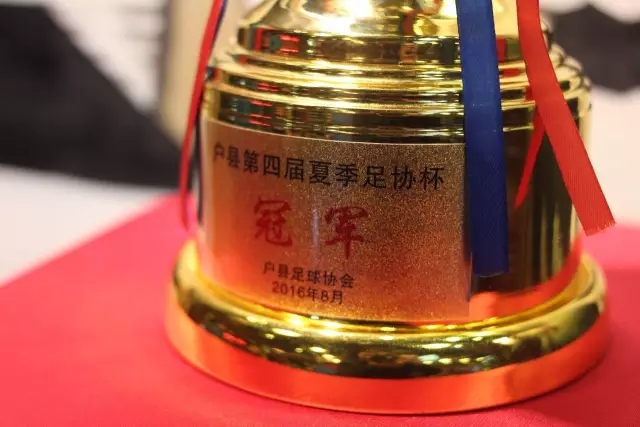 杨浦跆拳道小将夺5金3银9铜，展现超强实力